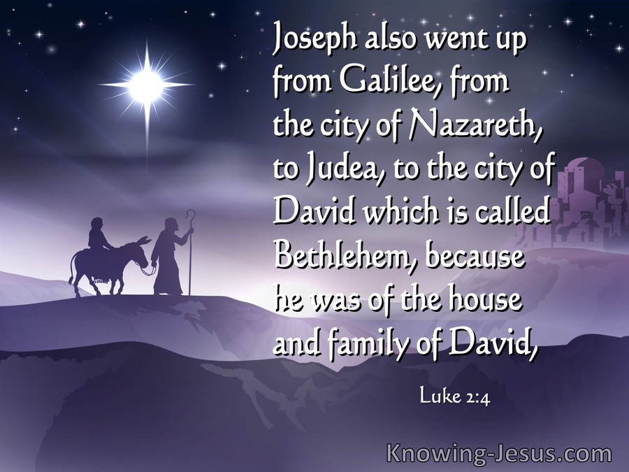 Luke 2:4 Joseph Also Went Up From Galilee (purple)